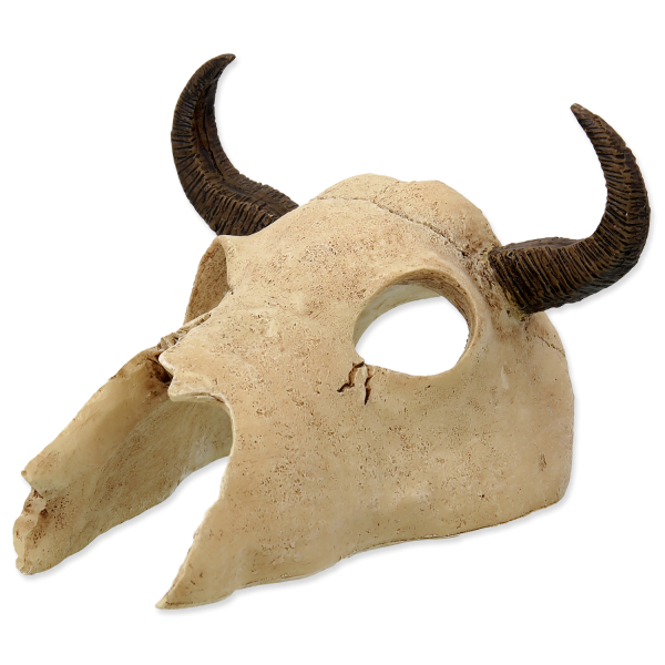 Preview: Bull Skull (Totenkopf)